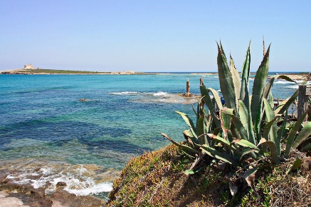 Foto Terreno agricolo in Via Vincenzo Bellini, Portopalo di Capo Passero