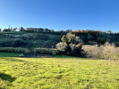 Foto Terreno agricolo in Via Roma, Guardistallo in vendita