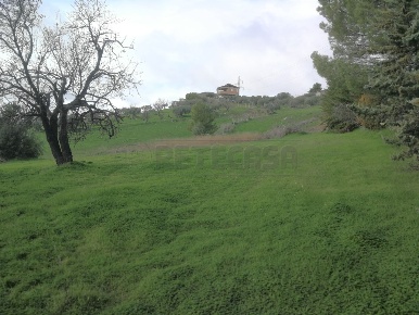 Foto Terreno agricolo in CONTRADA DUE FONTANE, Caltanissetta di 3560 m²