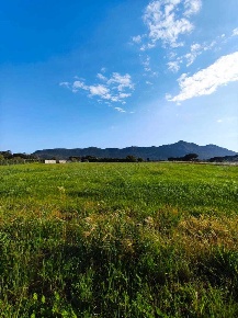 Foto Terreno agricolo in Via Nardecchia, San Felice Circeo di 5000 m²