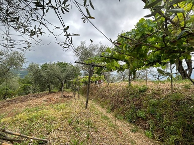Foto Terreno edificabile a Arcola di 5000 m² in vendita