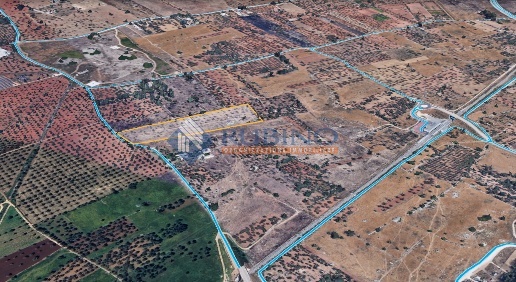 Foto Terreno industriale in Strada Donadonisi, Bari Ceglie del Campo