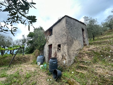 Foto Terreno agricolo a Arcola di 5000 m² in vendita