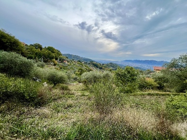Foto Terreno agricolo a Santo Stefano di Magra in vendita