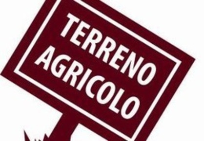 Foto Terreno agricolo a Massa in vendita