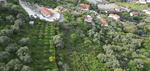 Foto Terreno agricolo in Strada San Sinforiano, San Biagio della Cima