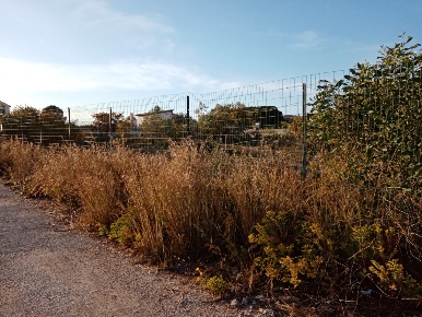 Foto Terreno edificabile a Siracusa Plemmirio di 2600 m² in vendita