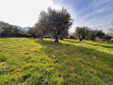 Foto Terreno agricolo in Strada di Fonte Paolone, Marcellina Centro