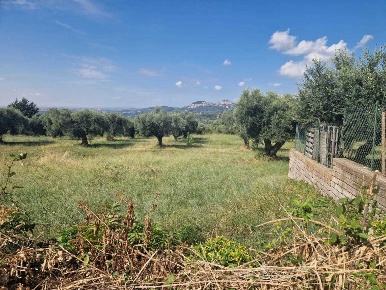 Foto Terreno industriale in Via Cristoforo Colombo 71, Marcellina