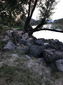 Foto Terreno agricolo a Arcola di 1555 m² in vendita