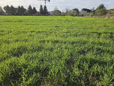 Foto Terreno agricolo in Via Casetti Molari, Santarcangelo di Romagna