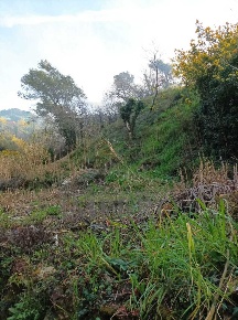 Foto Terreno agricolo in Strada Cannavaira, San Biagio della Cima