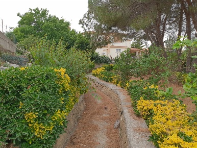 Foto Terreno edificabile a Siracusa Città Giardino di 1370 m² in vendita