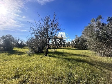 Foto Terreno agricolo in Via Vicinale Mancarella 3, Melendugno di 20 m²