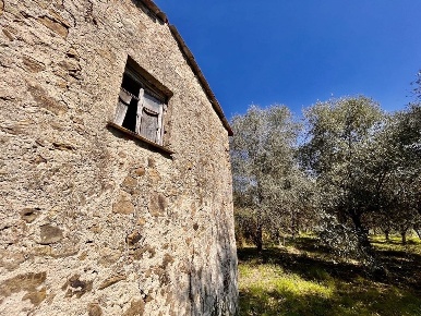 Foto Terreno industriale a Follo di 1200 m² in vendita