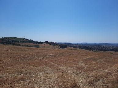 Foto Terreno agricolo a Offida San Barnaba in vendita