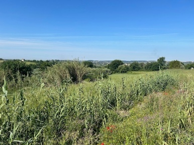 Foto Terreno edificabile in Via della Pozzera, Sant'Angelo Romano