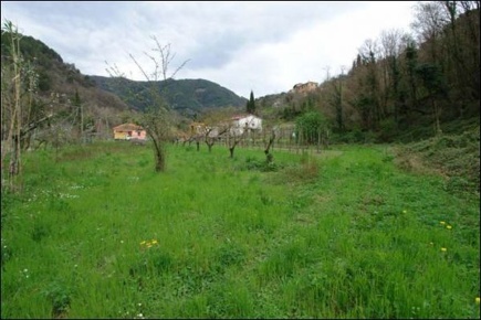 Foto Terreno agricolo a Fosdinovo di 10000 m² in vendita