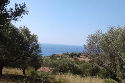 Foto Terreno industriale in VIA SERRADIFALCO 7, Siracusa di 6000 m²