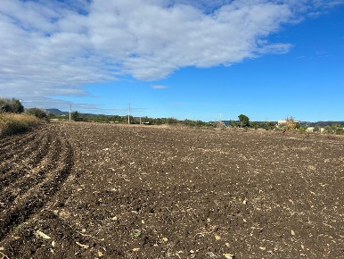 Foto Terreno agricolo a Siracusa Monasteri di 3458 m² in vendita