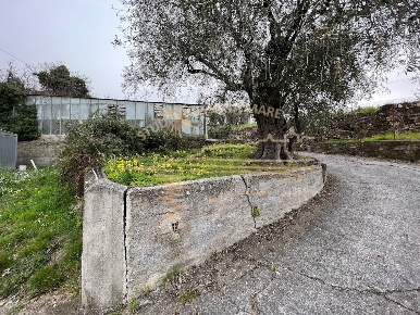 Foto Terreno agricolo in Strada Banchette Napoleoniche snc, Sanremo Bussana