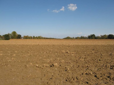 Foto Terreno agricolo a Falconara Marittima in vendita