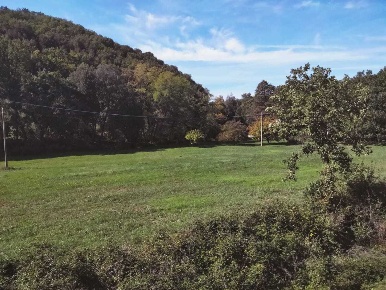 Foto Terreno agricolo a Amelia Centro di 12710 m² in vendita