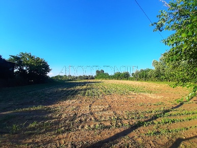 Foto Terreno agricolo a Campodoro in vendita