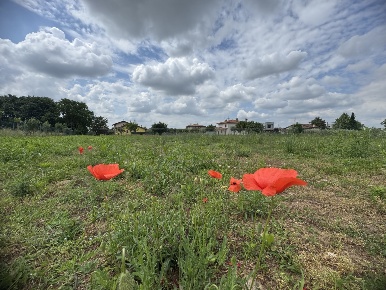 Foto Terreno agricolo a Bassano del Grappa Centro di 2500 m² in vendita