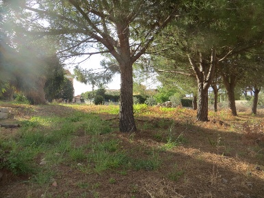 Foto Terreno industriale in Via Noto 35, Siracusa di 660 m² in vendita