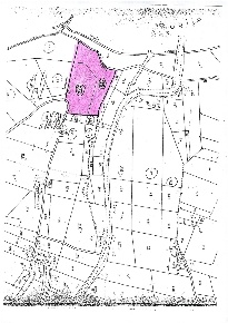 Foto Terreno agricolo a Monsampolo del Tronto di 8379 m² in vendita