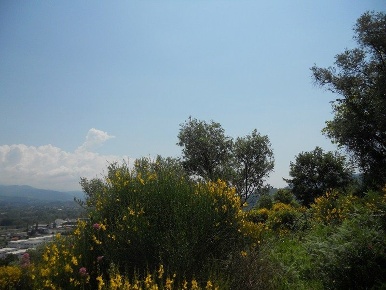 Foto Terreno edificabile a Arcola di 9500 m² in vendita