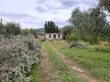 Foto Terreno agricolo a Siracusa Tivoli di 7000 m² in vendita