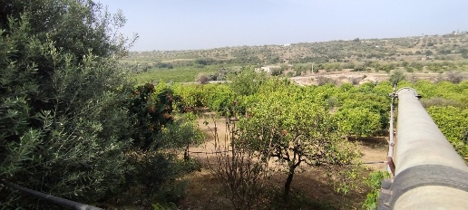 Foto Terreno agricolo a Siracusa Belvedere - Tremmilia di 7000 m²