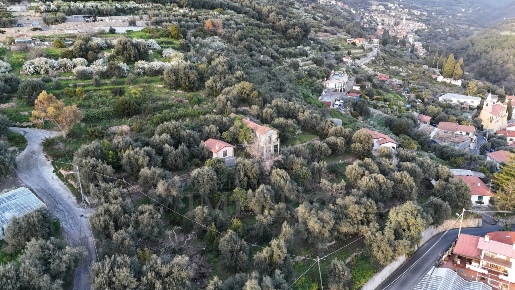 Foto Terreno agricolo in Via Gallina, Bordighera Due Strade di 10266 m²