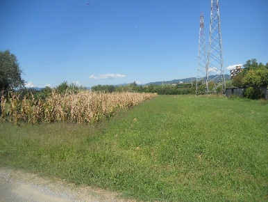 Foto Terreno agricolo in Via Gragnola 36, Castelnuovo Magra di 3000 m²