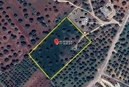 Foto Terreno edificabile in Contrada Torricella, Monopoli in vendita