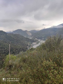 Foto Terreno agricolo in Frazione Verrandi, Ventimiglia di 10100 m²