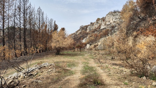 Foto Terreno agricolo a Melilli Centro di 6674 m² in vendita