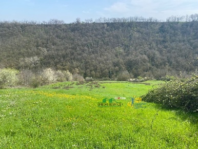 Foto Terreno agricolo in Miano, Medesano in vendita
