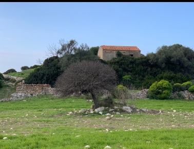 Foto Terreno agricolo a Cuglieri di 90 m² in vendita