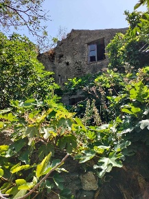 Foto Terreno agricolo in Vico Trave in Giampilieri Superiore 15, Messina