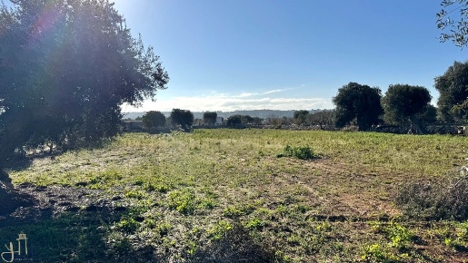 Foto Terreno agricolo a Polignano a Mare di 10390 m² in vendita