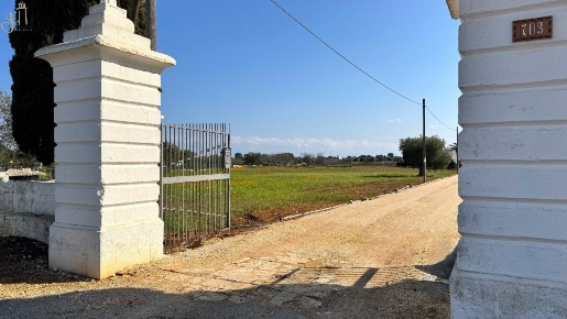 Foto Terreno agricolo in Via Roma 262, Polignano a Mare in vendita