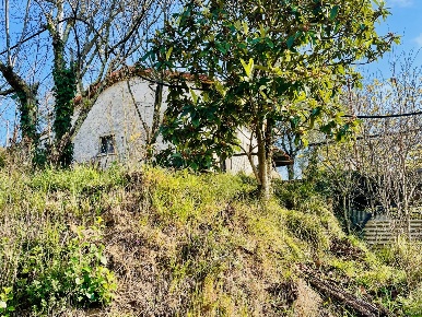 Foto Terreno agricolo a Arcola di 2000 m² in vendita