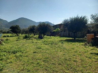 Foto Terreno agricolo in strada san pastore, Tivoli di 5167 m² in vendita