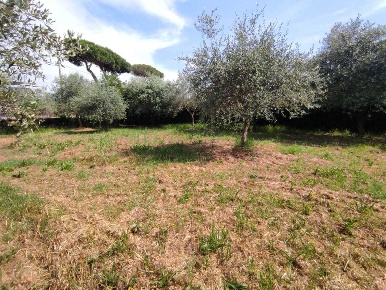 Foto Terreno agricolo a Luni Casano Dogana Isola di 860 m² in vendita