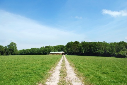 Foto Terreno agricolo in Via del Palazzaccio, Lucca Sant'Anna di 710 m²
