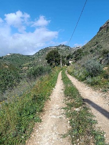 Foto Terreno agricolo a Avola di 10800 m² in vendita