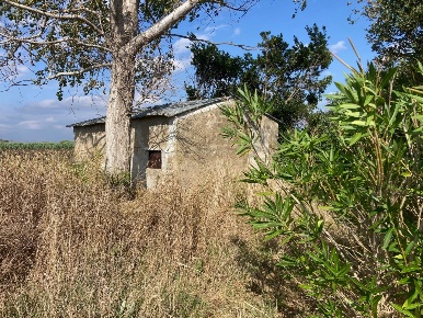 Foto Terreno agricolo in Via del Casone 312, Castagneto Carducci in vendita